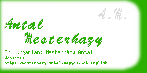 antal mesterhazy business card