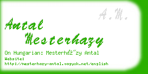 antal mesterhazy business card